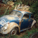 Illustration for article titled Read About Restoring the Oldest Production Volkswagen Beetle in This Intensely Detailed Bookem/em